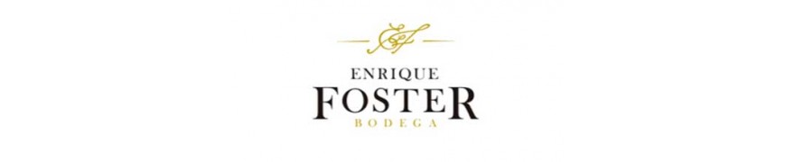 Enrique Foster